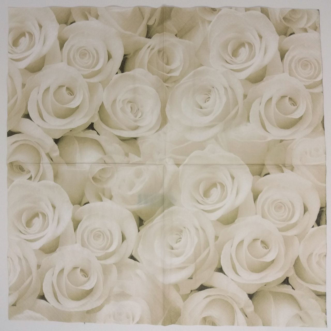 Szalvéta 33*33 cm - Fehér rózsák